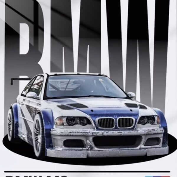 Bmw M3 Gtr Front View White & Blue