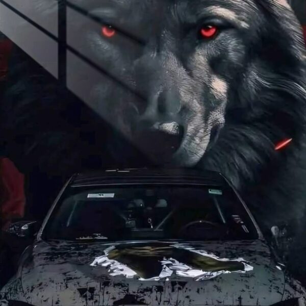 Bmw M3 Wolf'S Gaze Grey