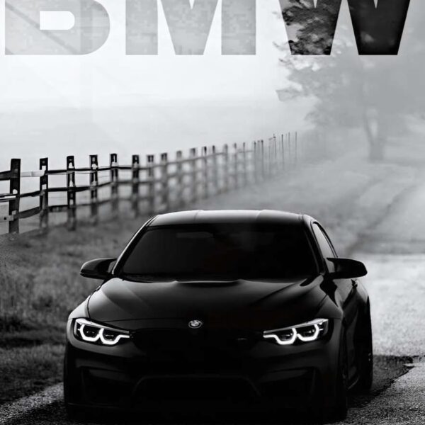 Bmw M4 Foggy Road Black