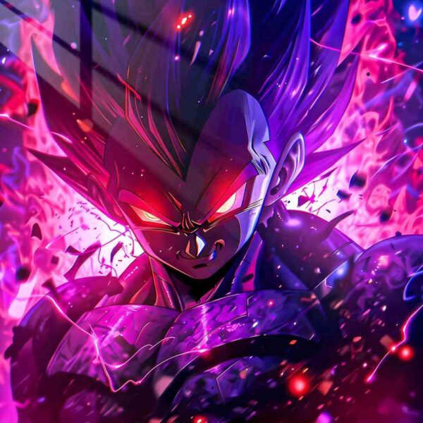 Evil Vegeta