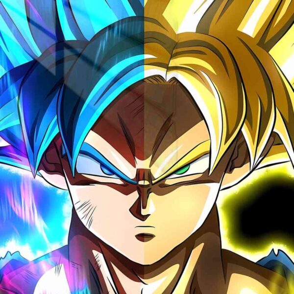 Goku Split