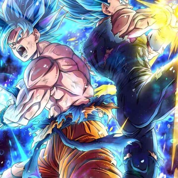 Goku Vegeta Combo