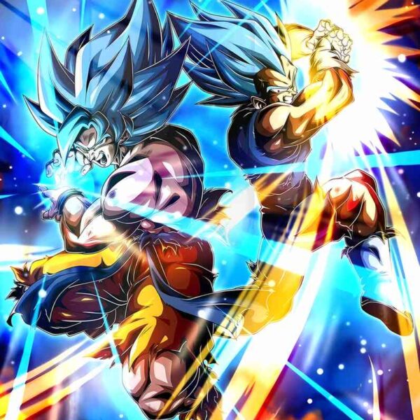 Goku And Vegeta Duo