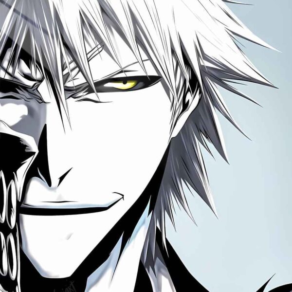 Hollow Ichigo Monochrome Grey
