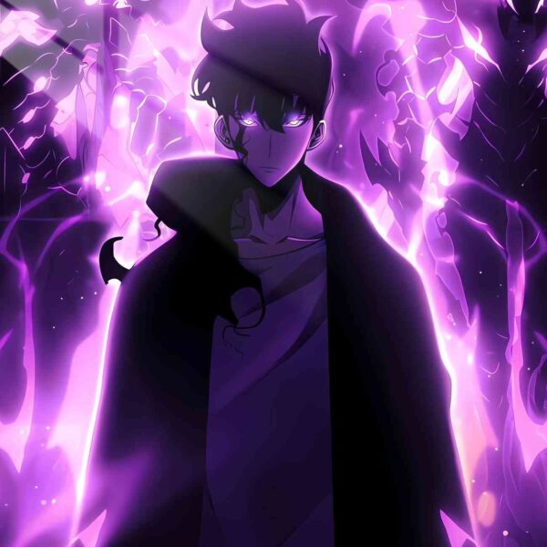 Jin Woo Shadow Monarch Purple