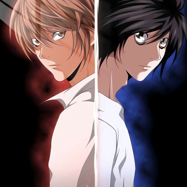 Light & L Divided Red & Blue