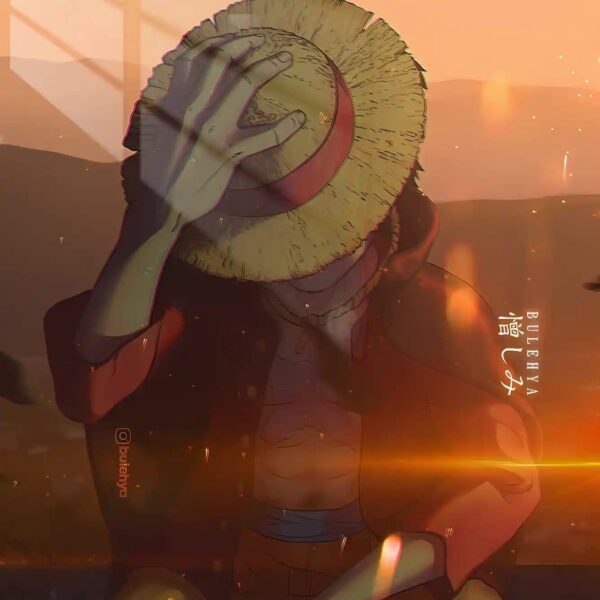 Luffy Hat Pose