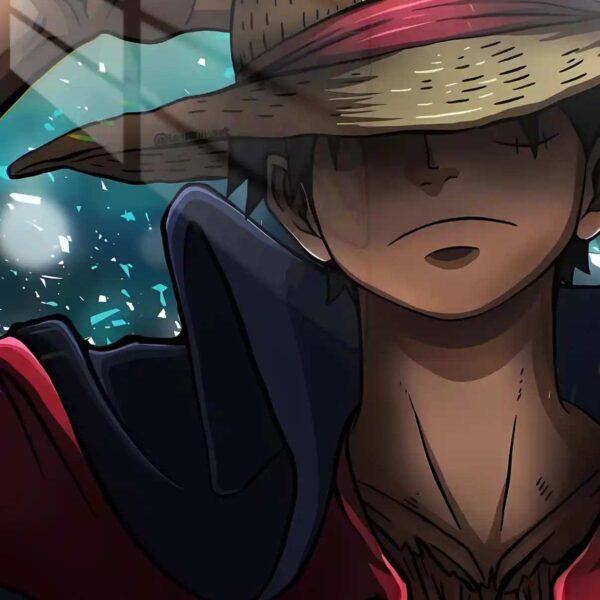 Luffy Iconic Hat Pose