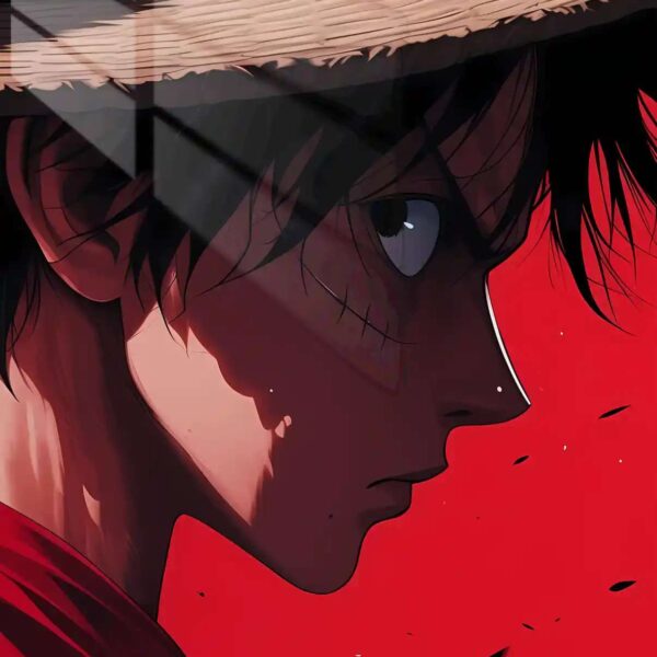 Luffy Red Rage