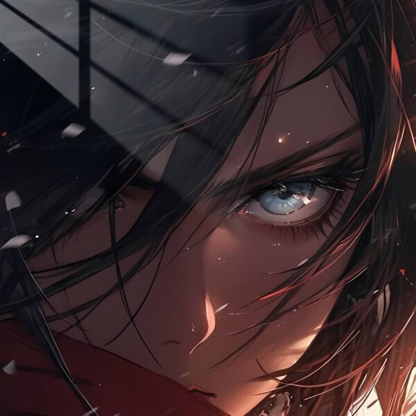 Mikasa'S Gaze Dramatic Red