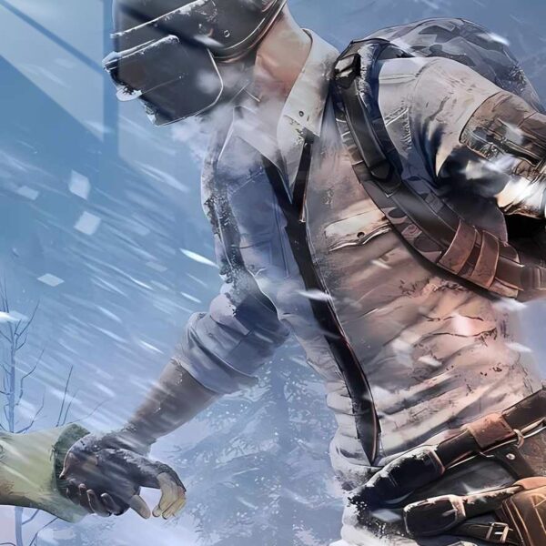 Pubg Player Winter Storm Blue