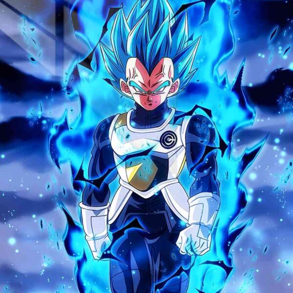 Ssjb Evo Vegeta