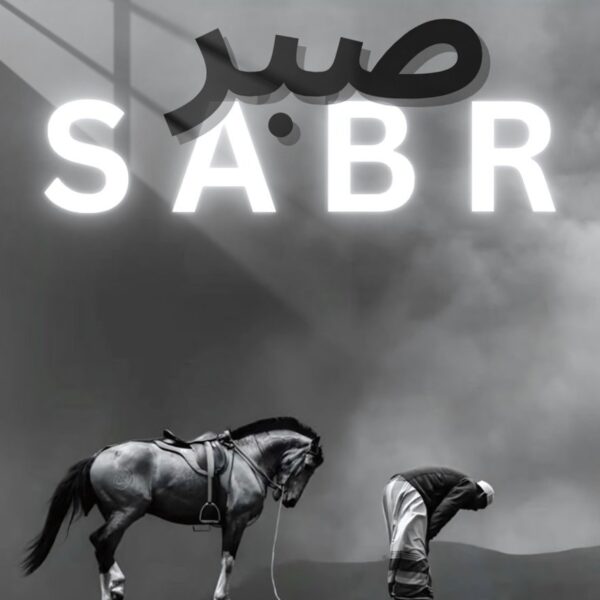 Sabr Monochromatic Grey