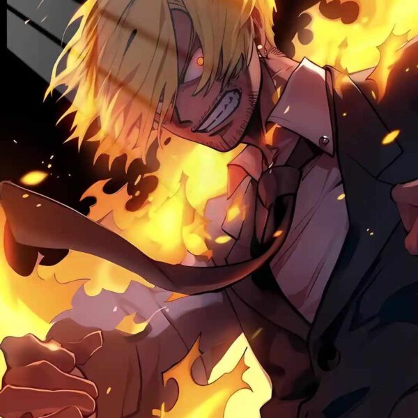 Sanji Fighting
