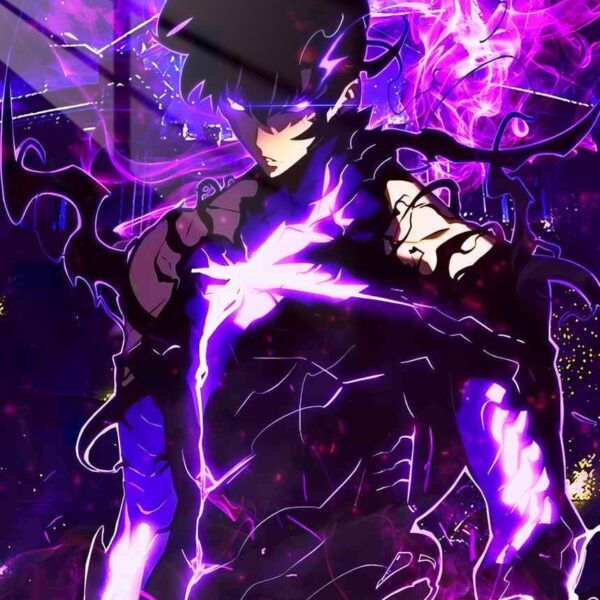 Sung Jinwoo Shadow Monarch Purple