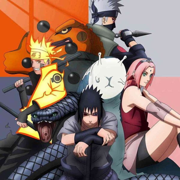 Team 7 Epic Orange & Grey
