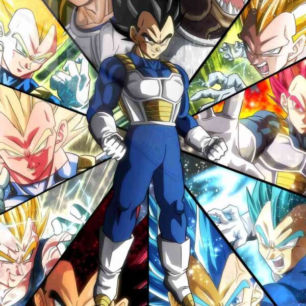 Vegeta All Forms
