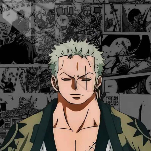 Zoro Manga Panel