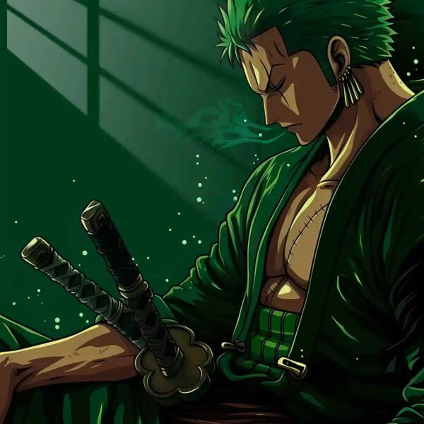 Zoro Sleeping